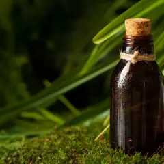 Butelka z ciemnego szkła, z korkiem i sznurkiem, otoczona mchem i zielenią. Woda na szkle sugeruje świeżość, jak w szyprowe perfumy.