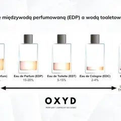 Woda perfumowana (EDP) to skoncentrowane perfumy, w przeciwieństwie do wody toaletowej (EDT). Obrazek pokazuje różnice w stężeniu i trwałości.