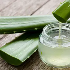 Świeży żel z aloesu kapie z liścia do słoiczka. Naturalny kosmetyk, aloes na rzęsy, gotowy do użycia.