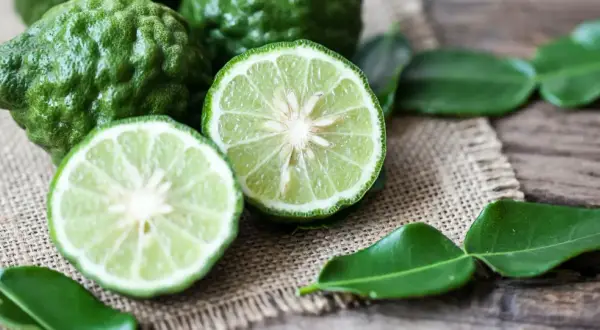 Zielone, pomarszczone owoce i przekrojone na pół limonki, z liśćmi na płótnie. Czuć, jak pachnie bergamotka.