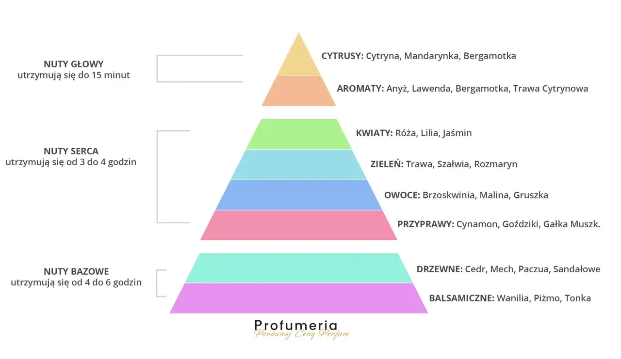 Piramide zapach&oacute;w perfum: cytrusy, aromaty, kwiaty, zieleń, owoce, przyprawy, drzewne, balsamiczne. Jaki może być zapach?